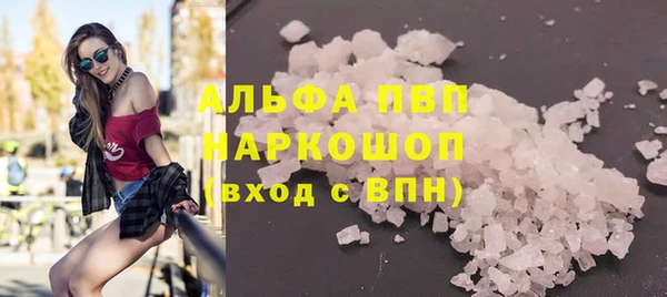 скорость Каменногорск