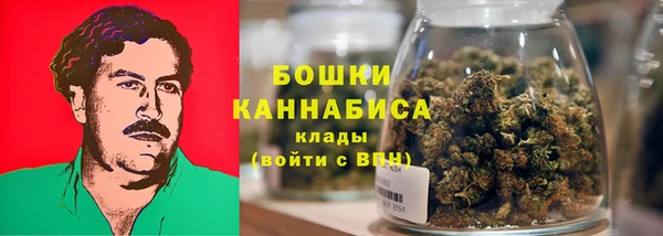 2c-b Каменка