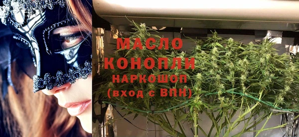 2c-b Каменка