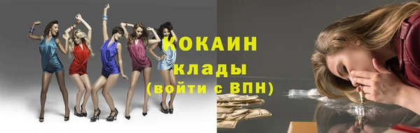 скорость Каменногорск