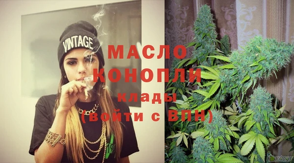 скорость Каменногорск