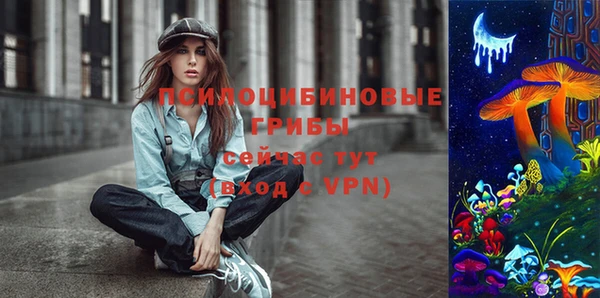 скорость Каменногорск