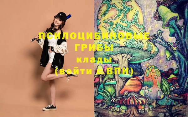 2c-b Каменка