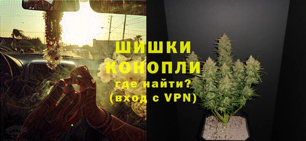 2c-b Каменка