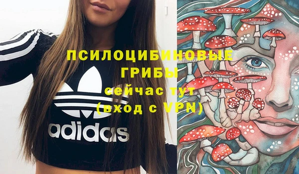 скорость Каменногорск
