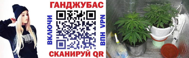 Бошки марихуана OG Kush  Купить где  Белая Холуница 